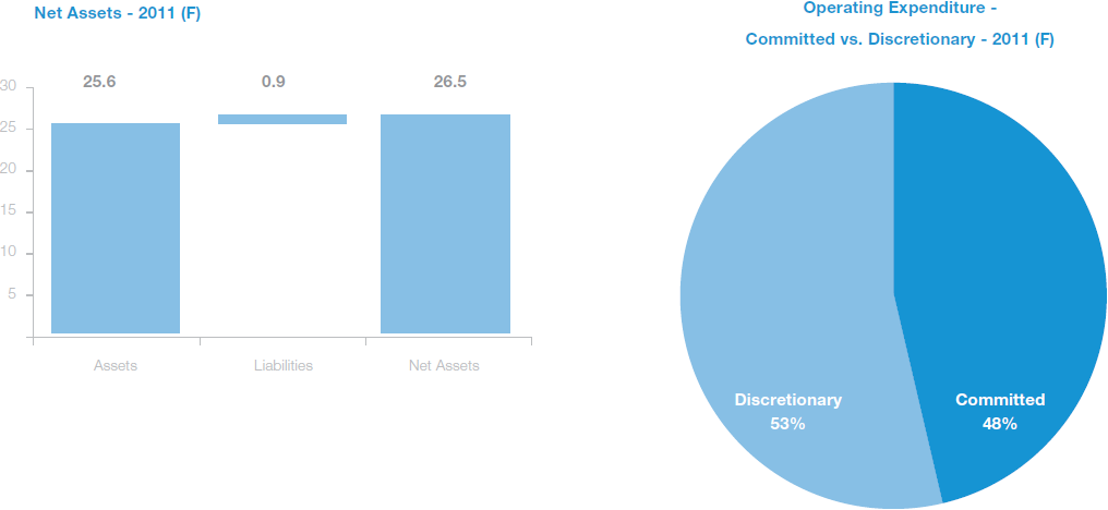 revenue projections8